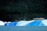 7 - Iceberg sur le lago argentino